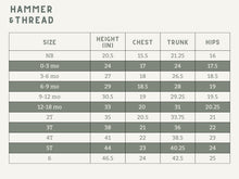 Load image into Gallery viewer, Striped Shorties