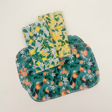 Load image into Gallery viewer, Citrus Paperless Towels Set