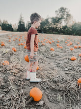 Load image into Gallery viewer, Salem Shorts: Shoreline Stripe