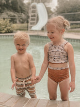 Load image into Gallery viewer, Board Shorts in Stripe