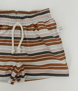 Board Shorts in Stripe