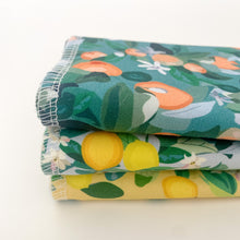 Load image into Gallery viewer, Citrus Paperless Towels Set
